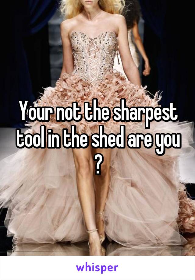 Your not the sharpest tool in the shed are you ?