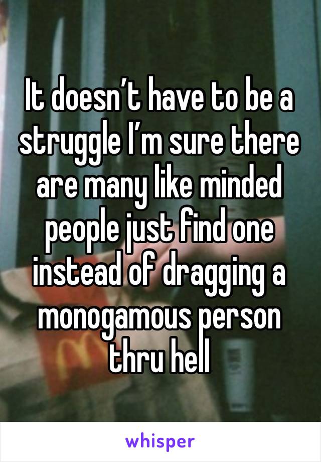 It doesn’t have to be a struggle I’m sure there are many like minded people just find one instead of dragging a monogamous person thru hell 