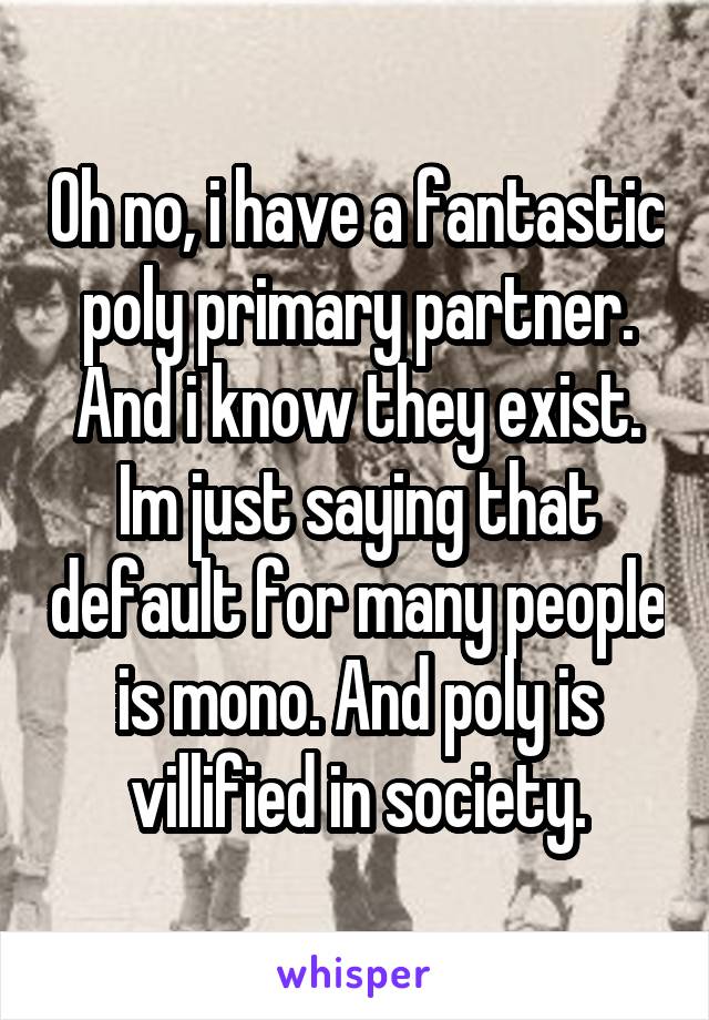 Oh no, i have a fantastic poly primary partner. And i know they exist. Im just saying that default for many people is mono. And poly is villified in society.