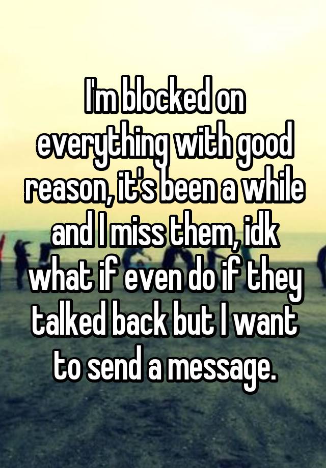 I'm blocked on everything with good reason, it's been a while and I miss them, idk what if even do if they talked back but I want to send a message.