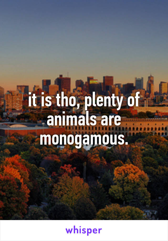 it is tho, plenty of animals are monogamous.