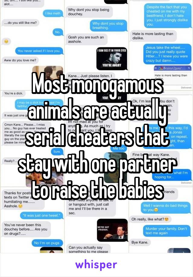 Most monogamous animals are actually serial cheaters that stay with one partner to raise the babies