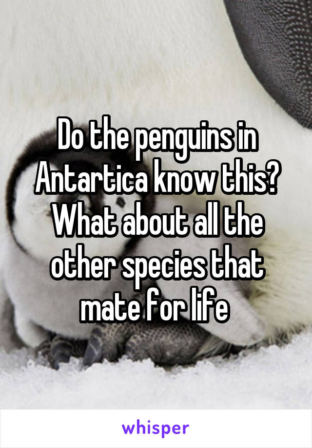 Do the penguins in Antartica know this? What about all the other species that mate for life 