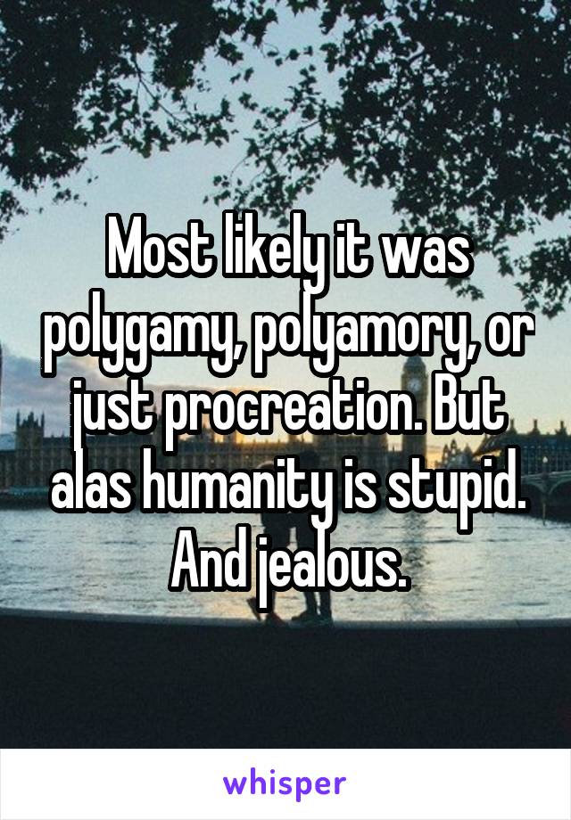 Most likely it was polygamy, polyamory, or just procreation. But alas humanity is stupid. And jealous.