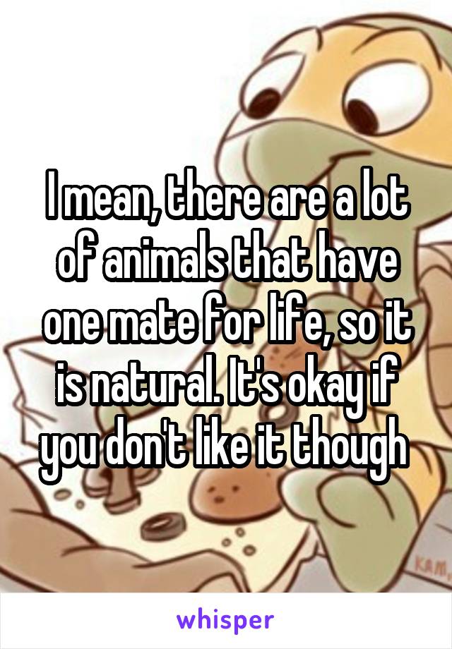 I mean, there are a lot of animals that have one mate for life, so it is natural. It's okay if you don't like it though 