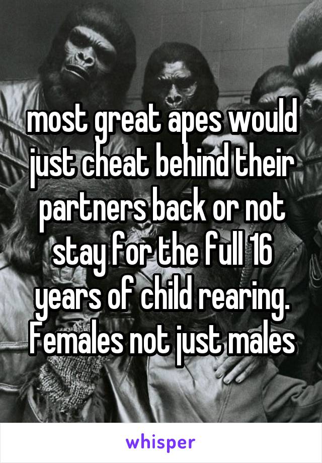 most great apes would just cheat behind their partners back or not stay for the full 16 years of child rearing. Females not just males