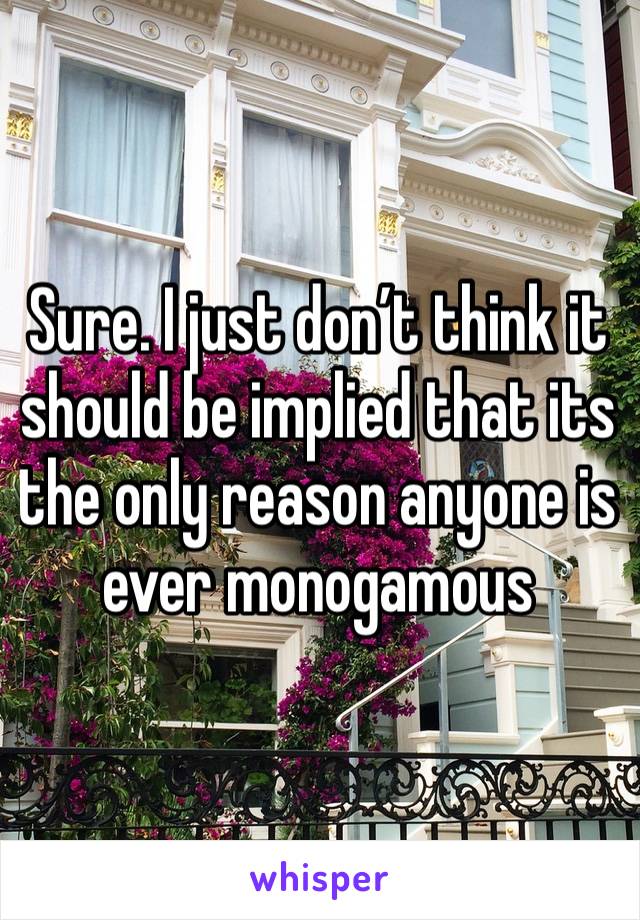 Sure. I just don’t think it should be implied that its the only reason anyone is ever monogamous 