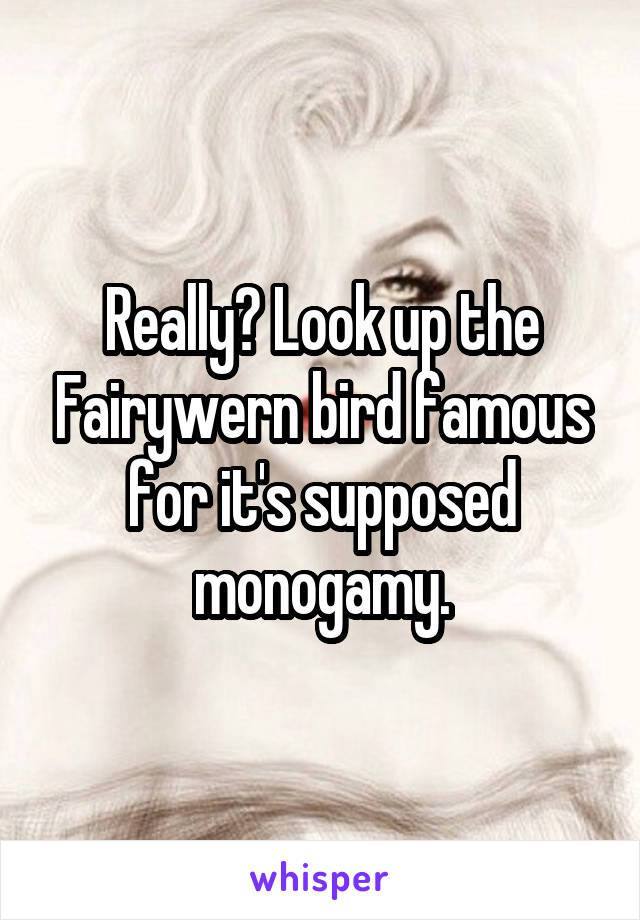 Really? Look up the Fairywern bird famous for it's supposed monogamy.