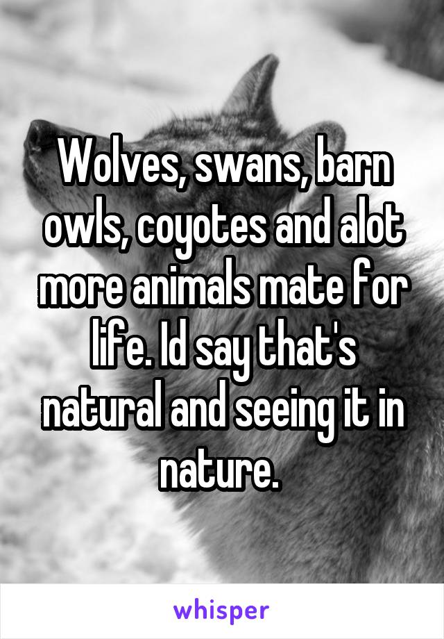 Wolves, swans, barn owls, coyotes and alot more animals mate for life. Id say that's natural and seeing it in nature. 