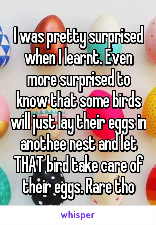 I was pretty surprised when I learnt. Even more surprised to know that some birds will just lay their eggs in anothee nest and let THAT bird take care of their eggs. Rare tho