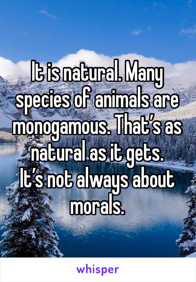 It is natural. Many species of animals are monogamous. That’s as natural as it gets. 
It’s not always about morals.