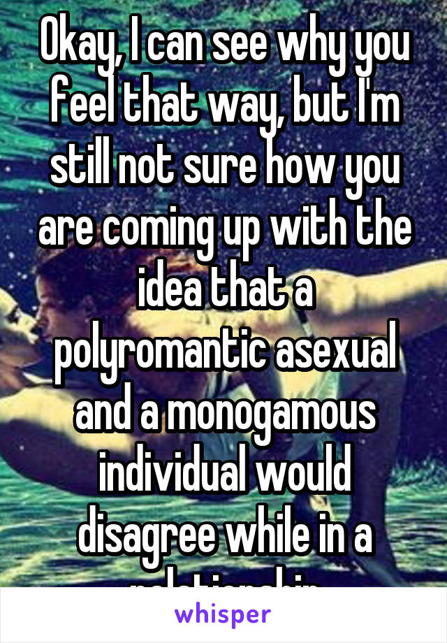 Okay, I can see why you feel that way, but I'm still not sure how you are coming up with the idea that a polyromantic asexual and a monogamous individual would disagree while in a relationship