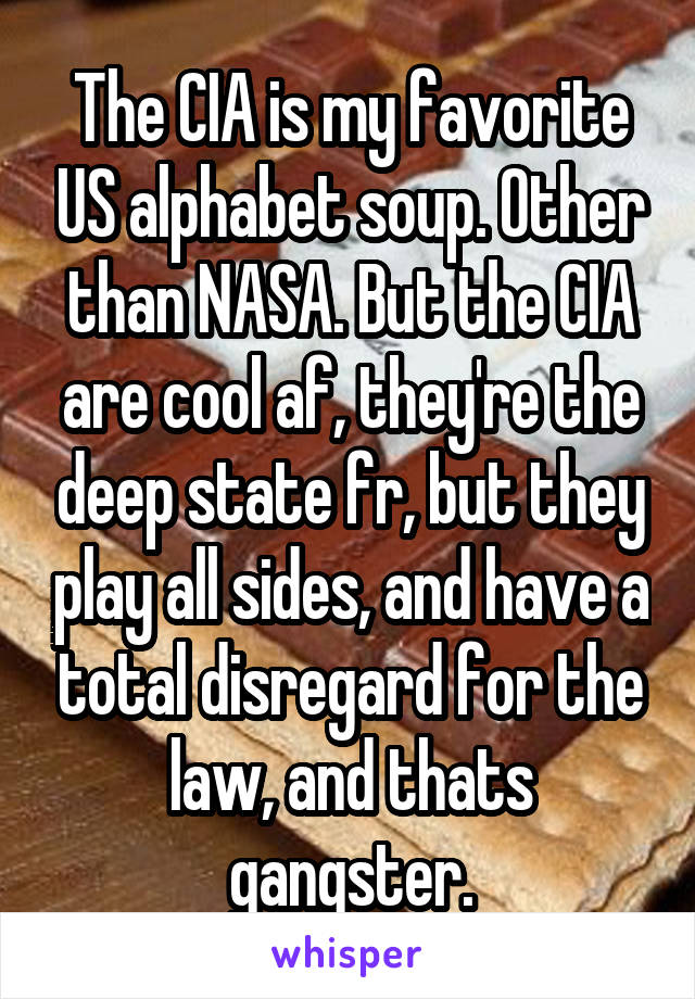 The CIA is my favorite US alphabet soup. Other than NASA. But the CIA are cool af, they're the deep state fr, but they play all sides, and have a total disregard for the law, and thats gangster.
