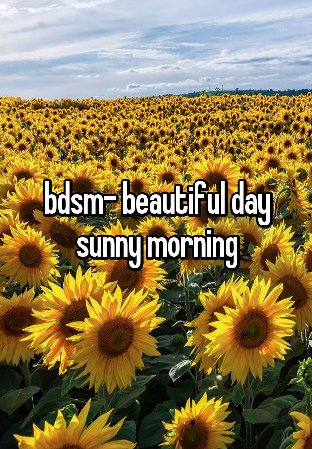 bdsm- beautiful day sunny morning