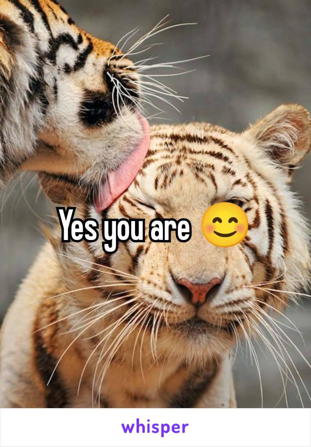 Yes you are 😊