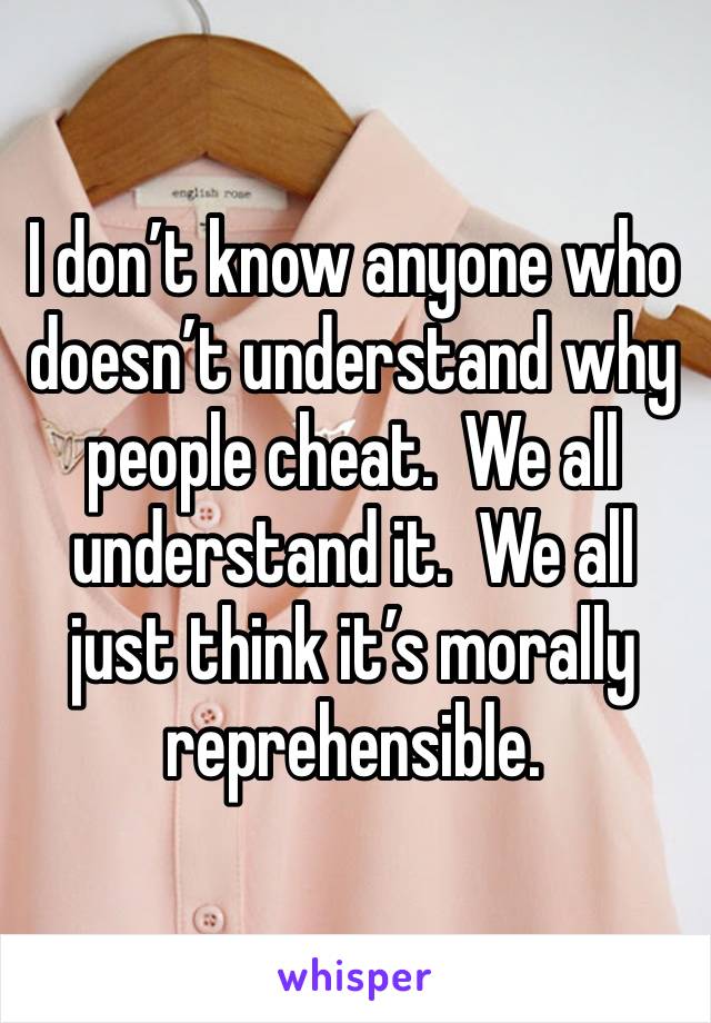 I don’t know anyone who doesn’t understand why people cheat.  We all understand it.  We all just think it’s morally reprehensible.