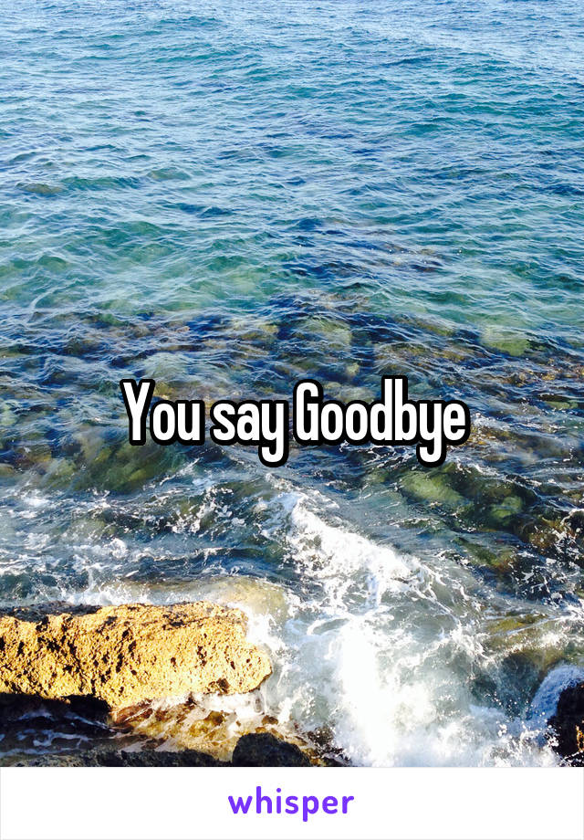 You say Goodbye