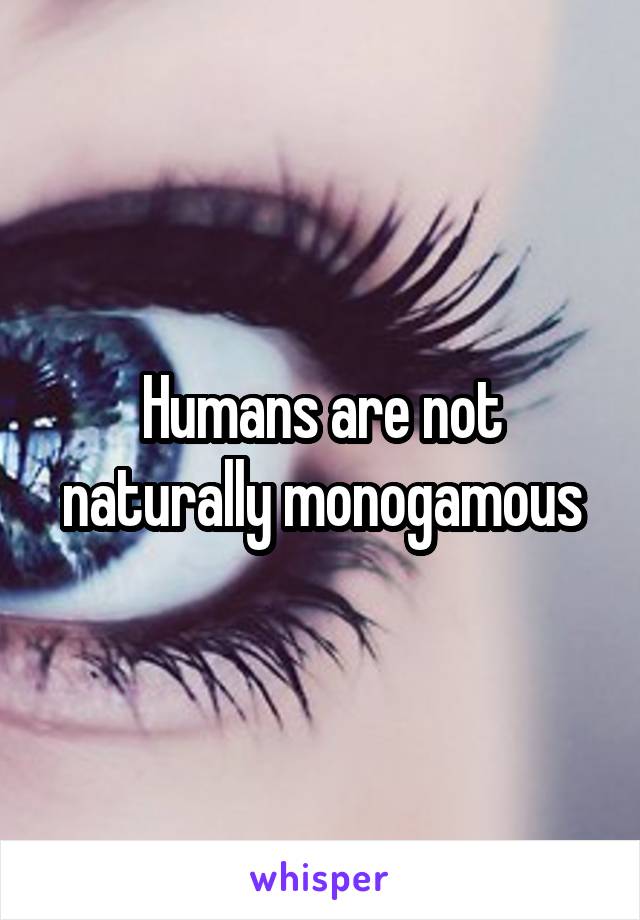 Humans are not naturally monogamous