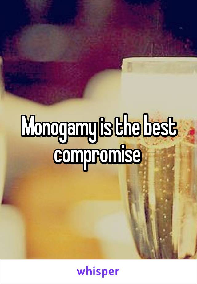 Monogamy is the best compromise 