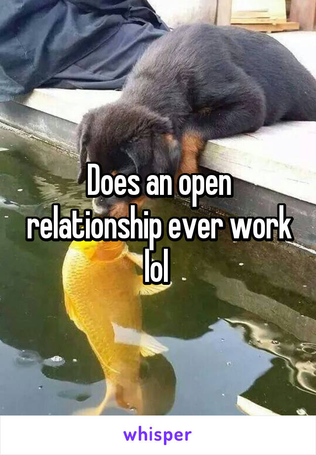 Does an open relationship ever work lol 