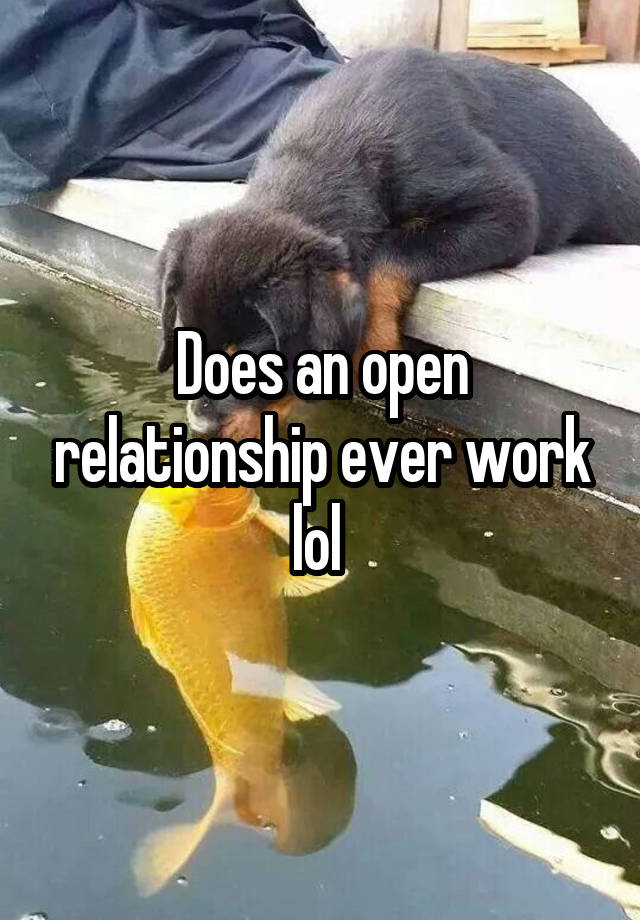 Does an open relationship ever work lol 