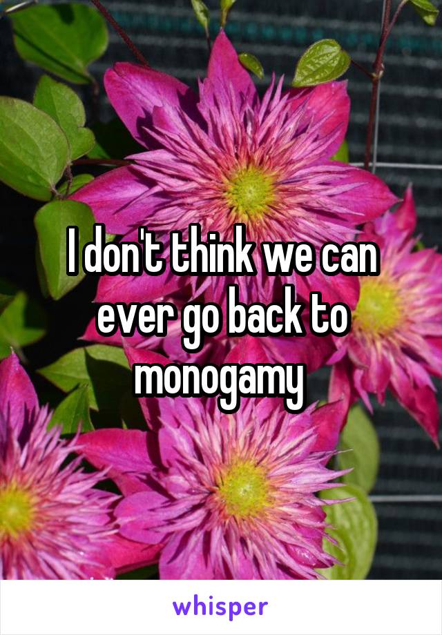 I don't think we can ever go back to monogamy 