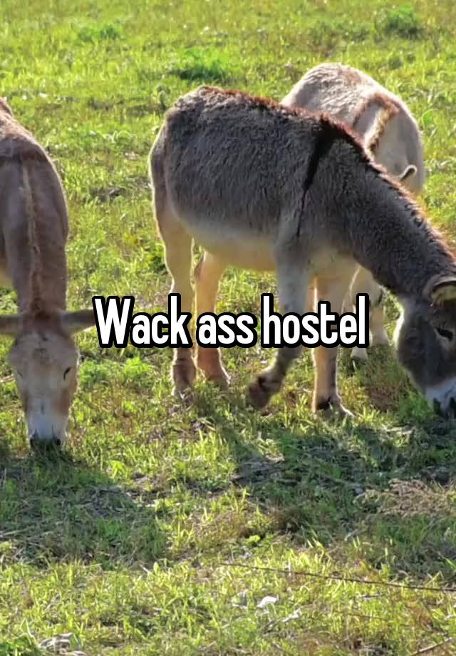 Wack ass hostel