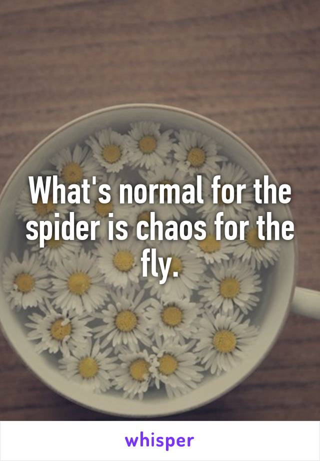 What's normal for the spider is chaos for the fly.