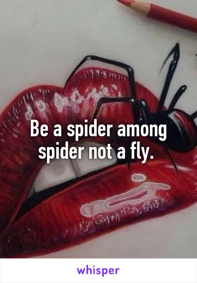 Be a spider among spider not a fly. 