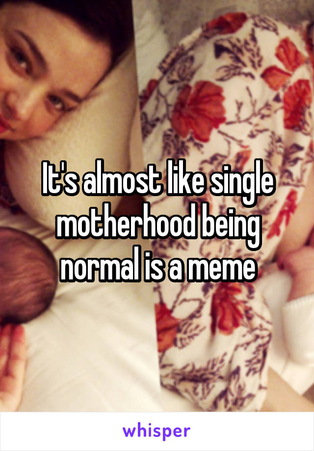 It's almost like single motherhood being normal is a meme