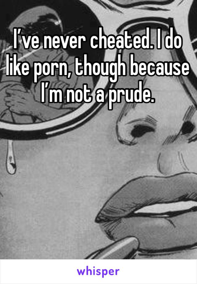 I’ve never cheated. I do like porn, though because I’m not a prude. 