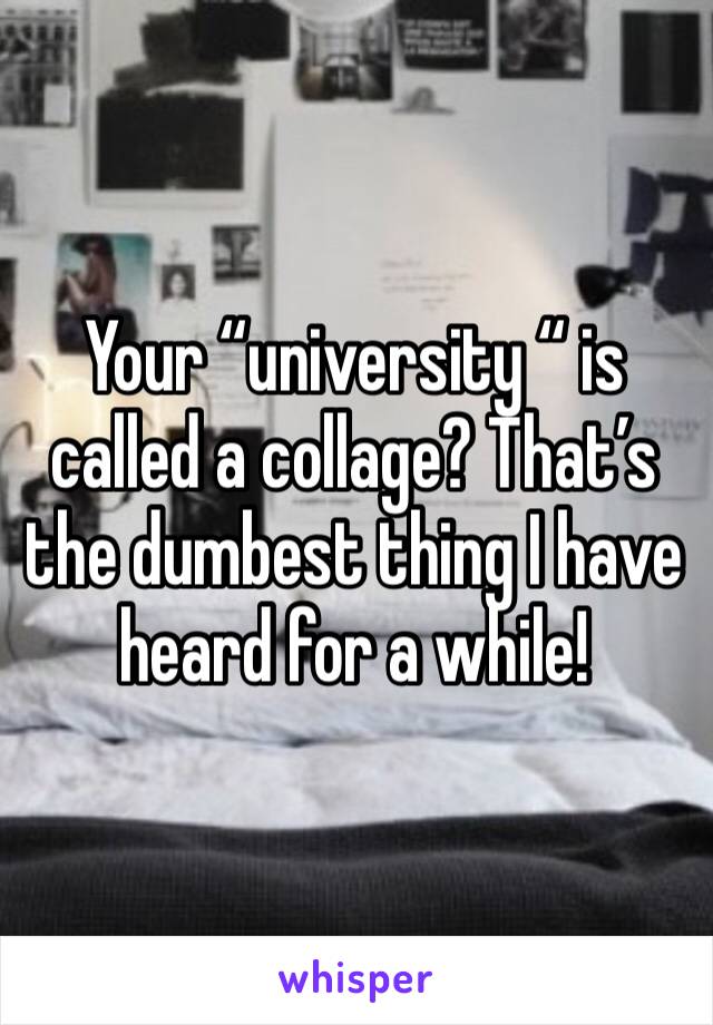 Your “university “ is called a collage? That’s the dumbest thing I have heard for a while!