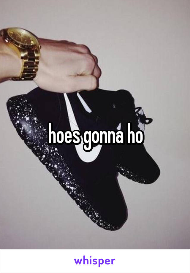 hoes gonna ho