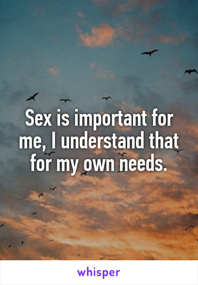 Sex is important for me, I understand that for my own needs.