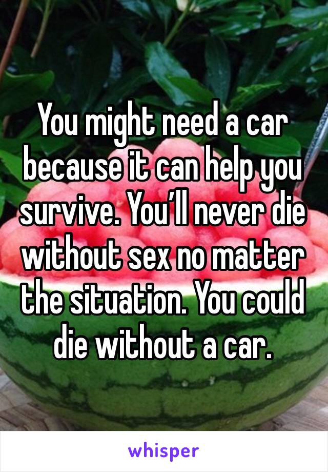 You might need a car because it can help you survive. You’ll never die without sex no matter the situation. You could die without a car.