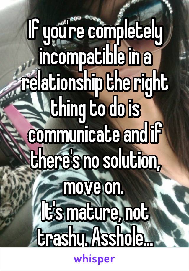 If you're completely incompatible in a relationship the right thing to do is communicate and if there's no solution, move on. 
It's mature, not trashy. Asshole...