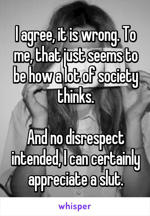 I agree, it is wrong. To me, that just seems to be how a lot of society thinks.

And no disrespect intended, I can certainly appreciate a slut.