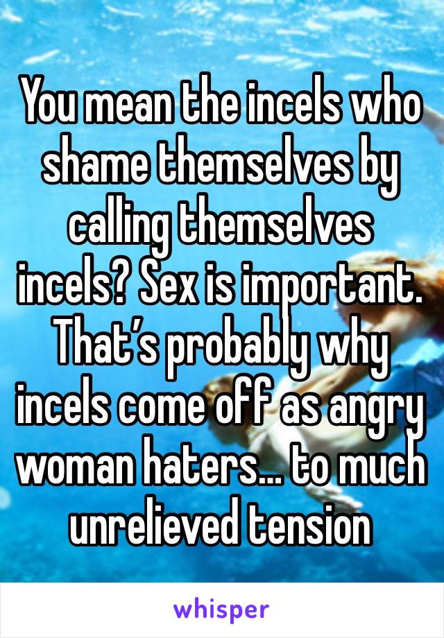 You mean the incels who shame themselves by calling themselves incels? Sex is important. That’s probably why incels come off as angry woman haters… to much unrelieved tension 