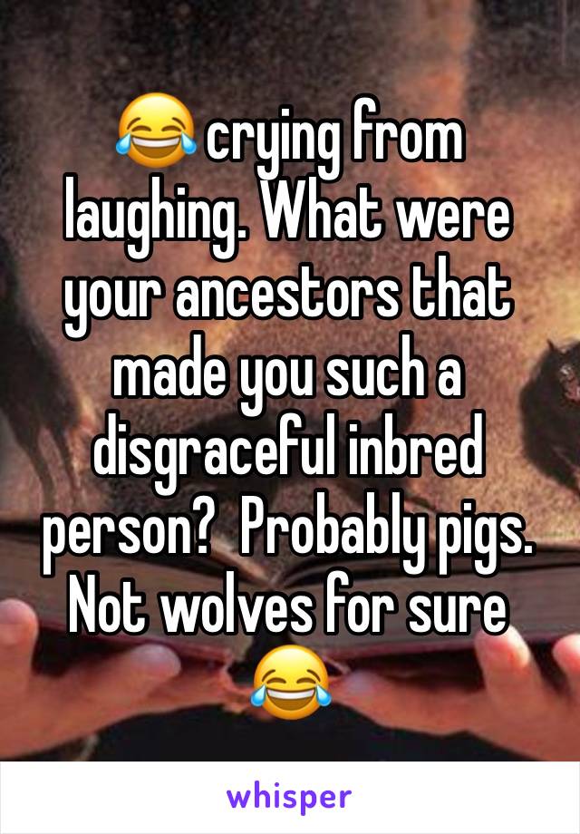 😂 crying from laughing. What were your ancestors that made you such a disgraceful inbred person?  Probably pigs.  Not wolves for sure 😂 
