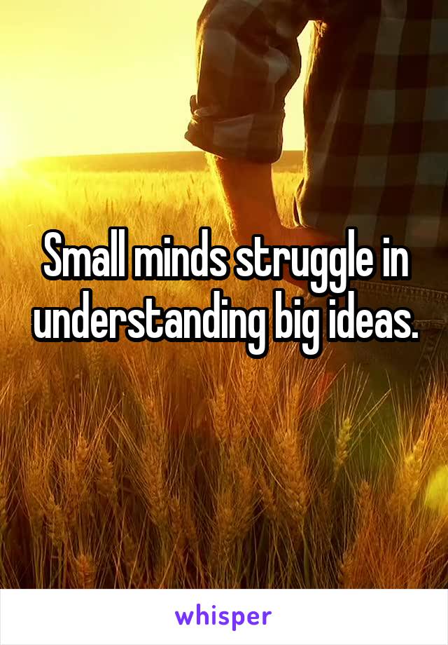 Small minds struggle in understanding big ideas. 