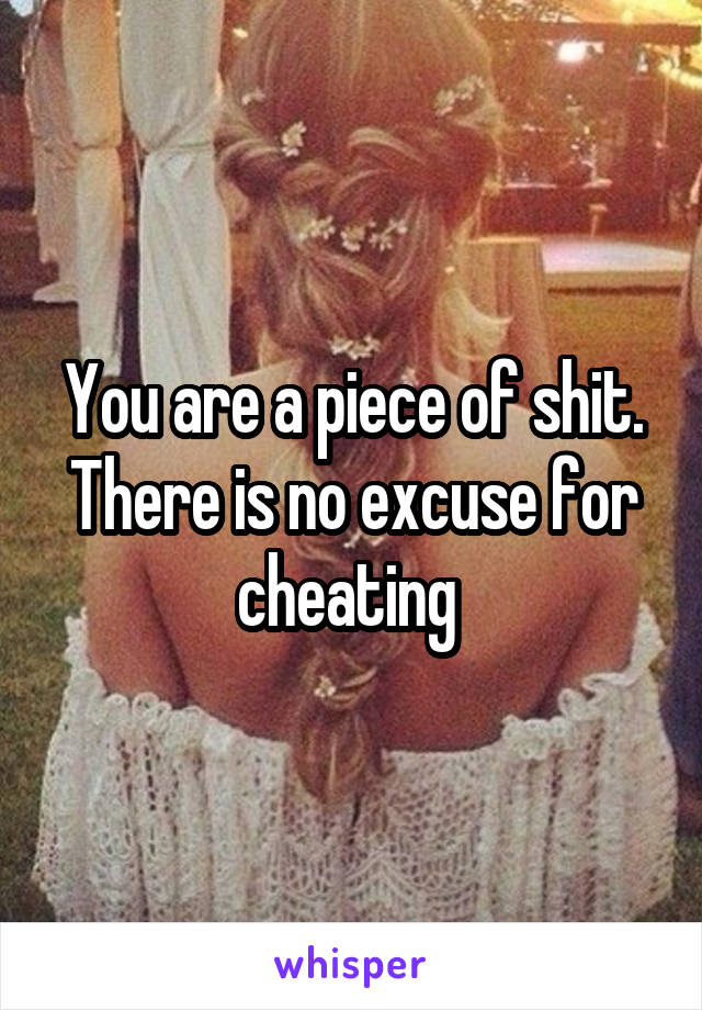 You are a piece of shit. There is no excuse for cheating 