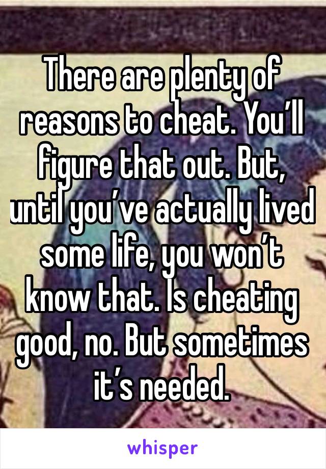 There are plenty of reasons to cheat. You’ll figure that out. But, until you’ve actually lived some life, you won’t know that. Is cheating good, no. But sometimes it’s needed.