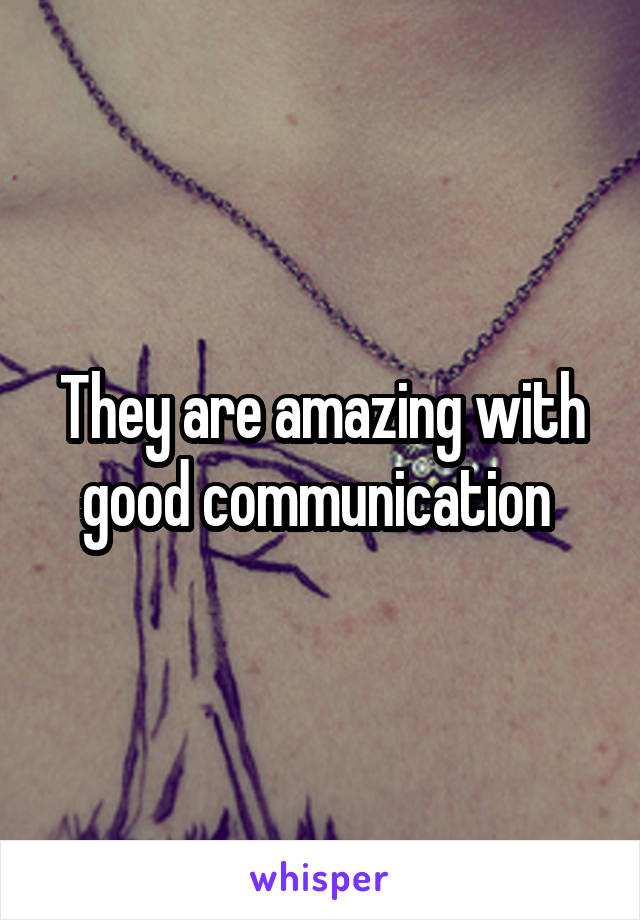 They are amazing with good communication 