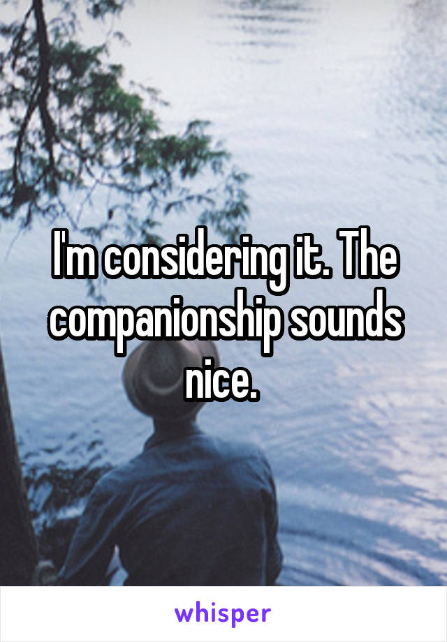 I'm considering it. The companionship sounds nice. 