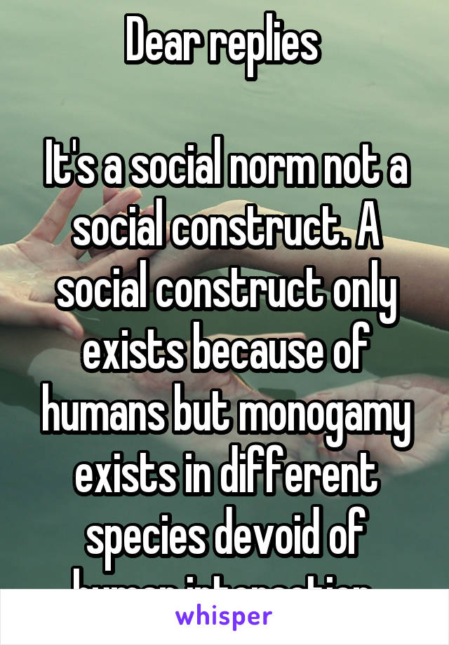 Dear replies 

It's a social norm not a social construct. A social construct only exists because of humans but monogamy exists in different species devoid of human interaction 