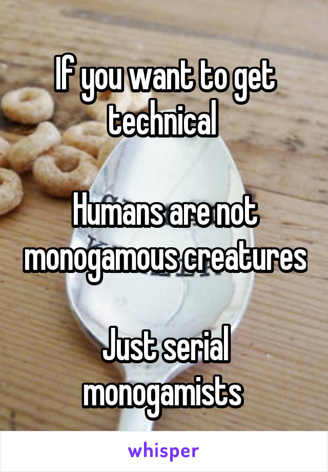 If you want to get technical 

Humans are not monogamous creatures

Just serial monogamists 