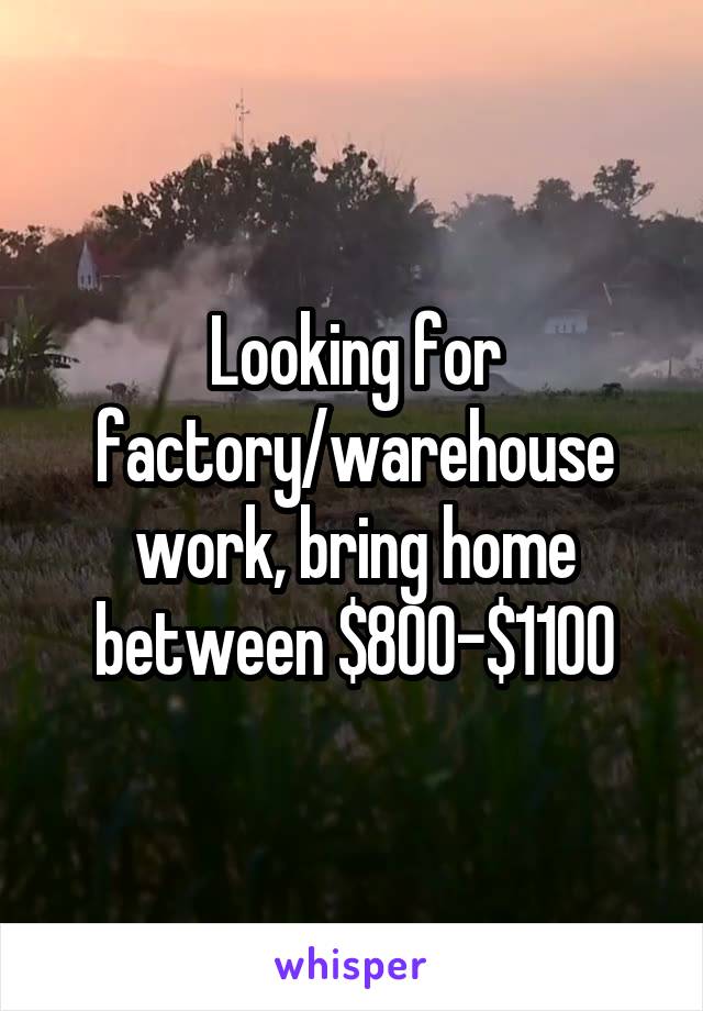 Looking for factory/warehouse work, bring home between $800-$1100
