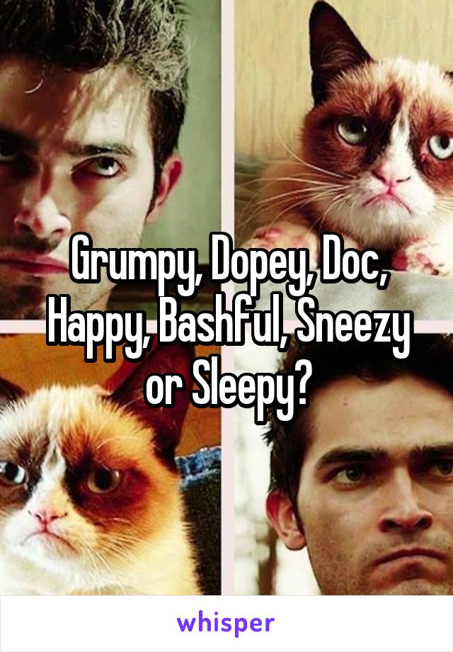 Grumpy, Dopey, Doc, Happy, Bashful, Sneezy or Sleepy?