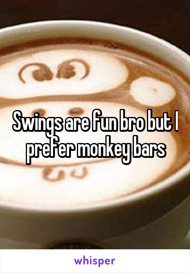 Swings are fun bro but I prefer monkey bars