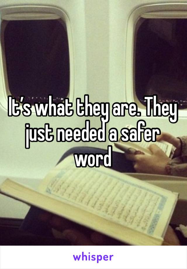 It’s what they are. They just needed a safer word 